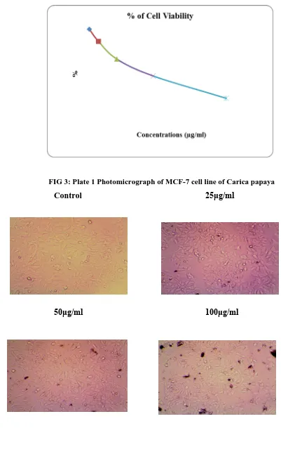 FIG 3: Plate 1 Photomicrograph of MCF-7 cell line of Carica papaya 