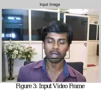 Figure 3: Input Video Frame 