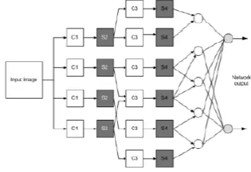 Figure 5(a) Experimental Result for an input image after applying CNN classification (i) Query image; (ii) Gray scale  image; (iii) Binary image; (iv) HSV image and (v) Result