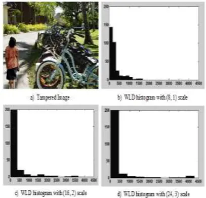 Figure 5: WLD histograms of a tampered image 
