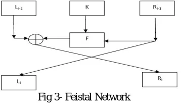 Fig 3- Feistal Network  