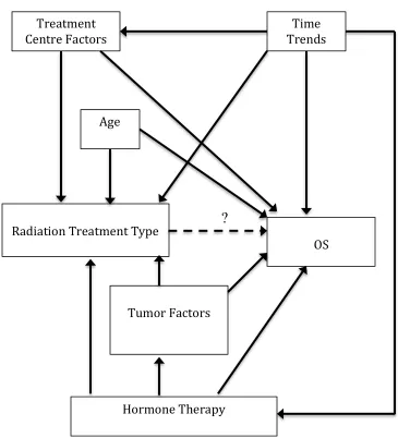 Fig. 2. Directed acyclic graph (DAG) for examining effects of radiation type on OS. 
