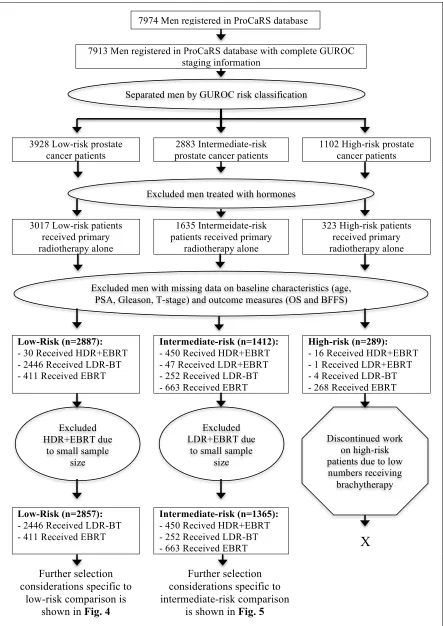 Fig. 3. Initial patient selection process. 