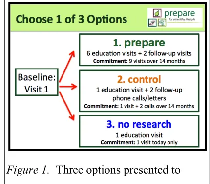 Figure 1.  Three options presented to 