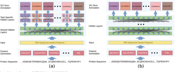 Fig 1. Schematic diagrams of MTDNN (a), and MLDNN (b).