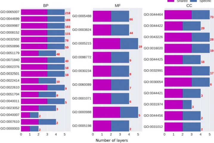 Fig 2. The numbers of layers of the optimised MTDNN models in BP, MF and CC domains. The red numbers on the right-hand side of bars represent the numbers of GO terms in individual branches.