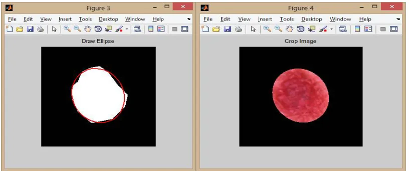 Fig. 1 Input image,creating mask  