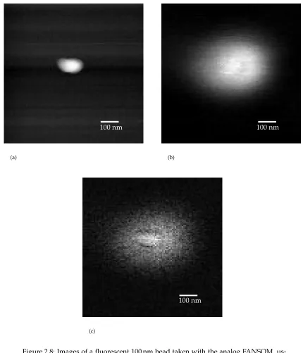 Figure 2.8: Images of a ﬂuorescent 100 nm bead taken with the analog FANSOM, us-ing a gold-coated TESP probe