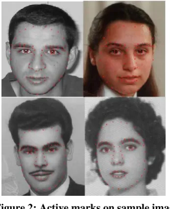 Figure 2: Active marks on sample images In both the shape and appearance model extraction, manual intervention is required as like in the AAM, in which the active portions of faces are manually marked and then they are subjected to shape and appearance mod