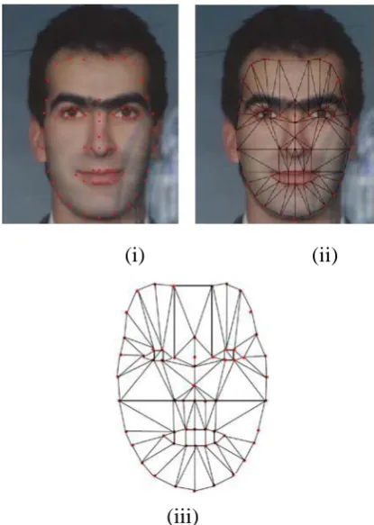 Figure 3: Extraction of Appearance Model 