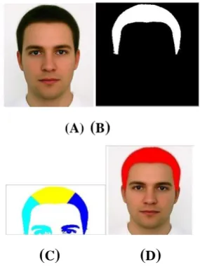 Fig 2: (A) Input image (B) Segmented image (c)Labeled image (D) Hair masked image 
