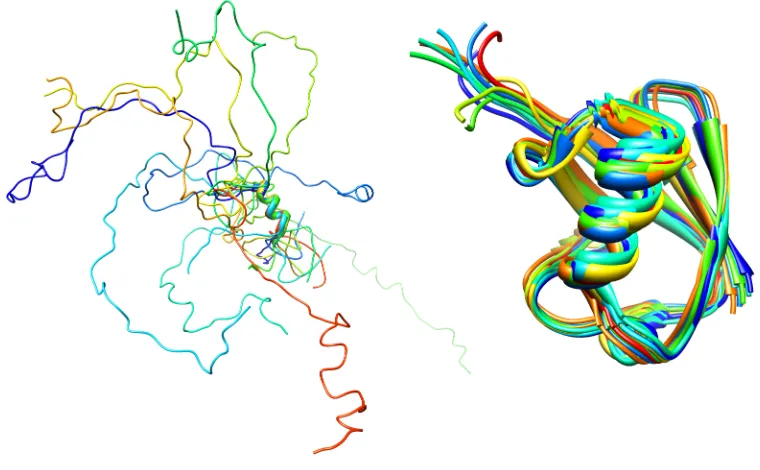 Figure 1.1 NMR structural ensembles of the intrinsically disordered Thylakoid 