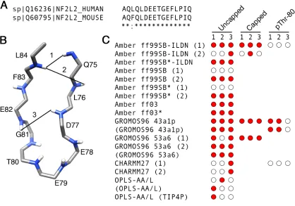Figure 2.4 Nrf2 β-hairpin sequence alignment and native contacts. 