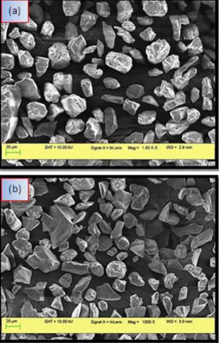 Fig. 5 shows the SEM microstructures of sample 1 and sample.  