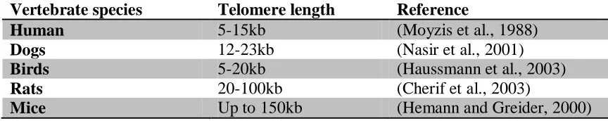 Table 1.1 - Telomere length variation across vertebrate species 