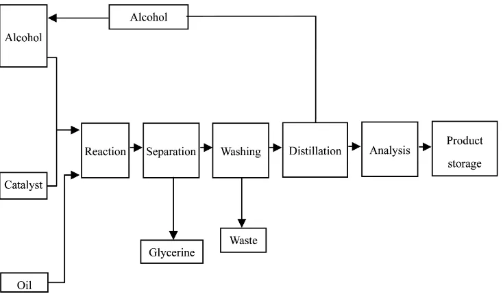 Figure 1. Process flow diagram of biodiesel production. 