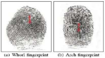 Fig 1- Examples of 10 distortion types in Tsinghua DF database 