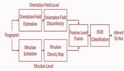 Fig 3. Flow of System 