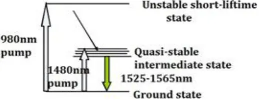 Figure 2: The EDFA setup with 980 nm pump vitality 
