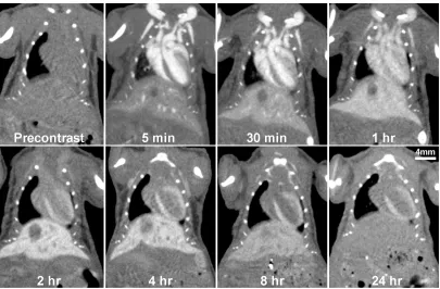 Figure 3.3:   Coronal slices from 3D images of the same C57BL/6 mouse scanned at different time points