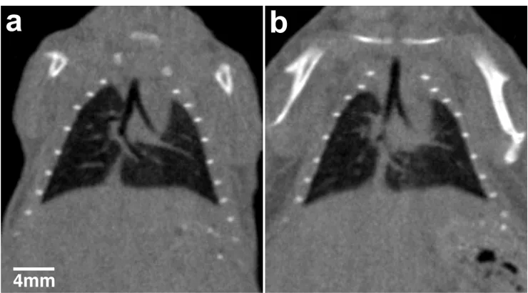Figure 4.2: Control Group, for both expiration and inspiration phases.  No significant   A comparison of lung volume between the Irradiated and the differences were measured between groups for either phase