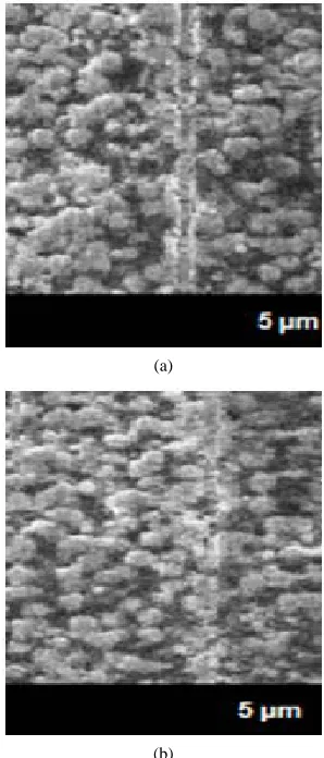 Figure 2. Microphotography of metallic dendrites formed in pathways of electronic devices in (a) summer and (b) win- ter