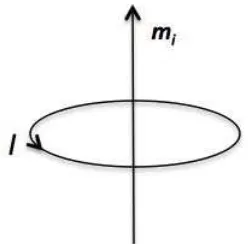Figure 2.1: Magnetic dipole moment mi resulting from atomic current, I.