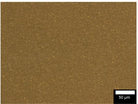 Figure 2. Polarizing optical microscopy image of poly(4,4’-dimethil-2,2’-bithiophene) (P-4DMBT) film