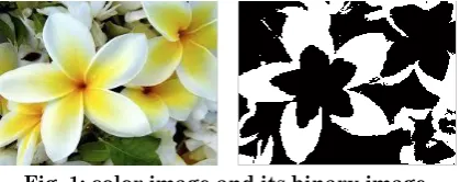 Fig. 1: color image and its binary image. 