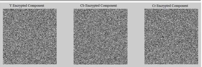 Figure (7) YCbCr Encrypted Components 
