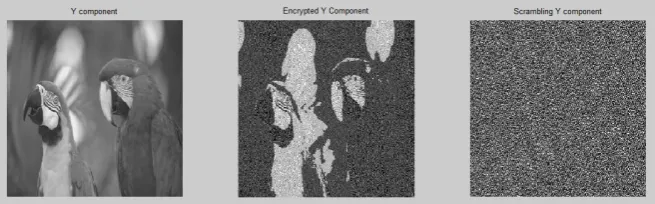 Figure (6 ) Encryption and Scrambling of Y component 