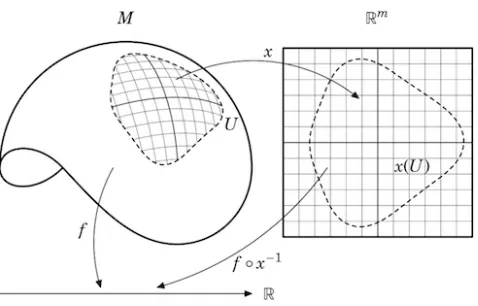 Figure 1.2: Manifold structure.