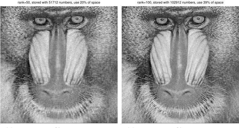 Figure 2.13: Three intermediary compressed versions of the mandrill face.