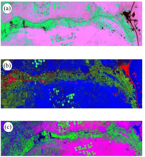 Figure 4. Image classifications for (a) TM in year 1984 and (b) SPOT images data in year 2008