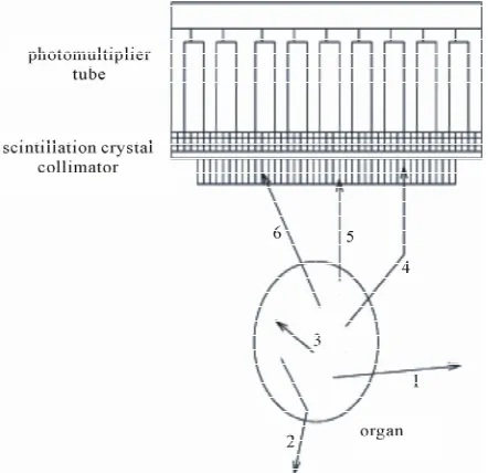 Figure 1. Detection of photons in the gamma camera. 