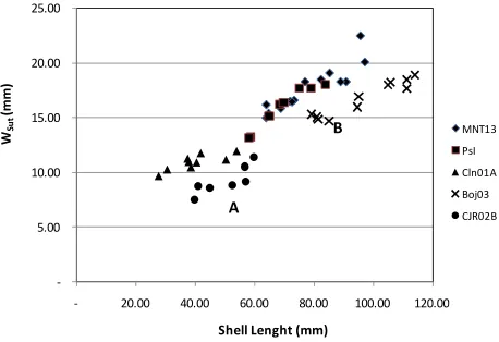 Figure 3. Distribution of ratio of shell length with whorl number, tend to be distributed