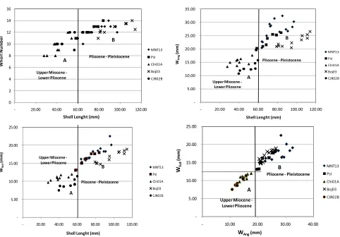Figure 6. Distribution of ratio of the ratio of Wang with Wsut distribution points clustered into two groups: A and B
