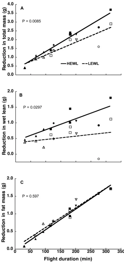 Figure 3-1.  A) Mass loss and B) wet lean mass loss were significantly higher during 