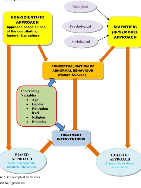 Figure 2.3: Conceptual framework 
