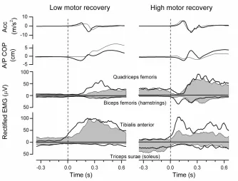 Figure 2.4 