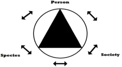 Figure 1: The Human triad according Morin. Font: Edgar Morin. The seven necessaries knowledge to future education (2004).Adopted by the author, 2014