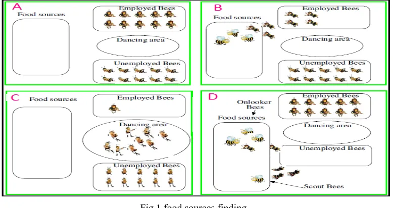 Fig 1 food sources finding Process, they share their food source information with unemployed bees or onlooker bees waiting in the hive by 