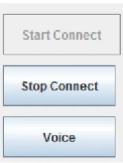 Figure 5: Disabled ‘Voice’ button before user connect to the server 