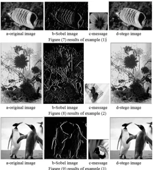 Figure (6) stego image 