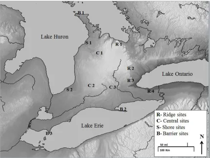 Figure 1: Location of twelve field sites at landscape features (ridge n=4, central n=3, 