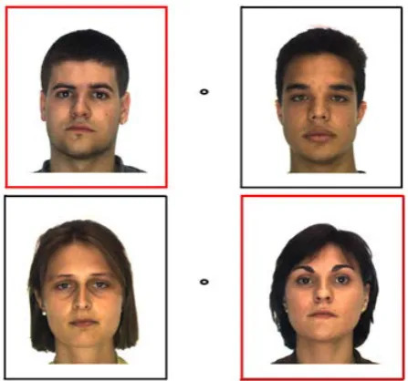 Figure 1. Example of study stimuli. 