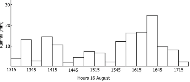 Figure 5. Storm rainfall at Lesnewth 16 August 2004. 
