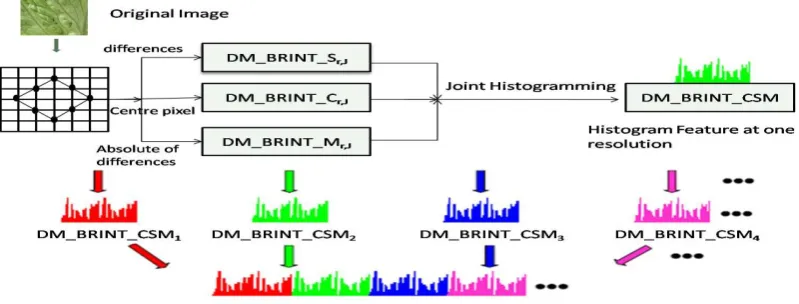 Fig. 3. The overall framework of the proposed descriptor   