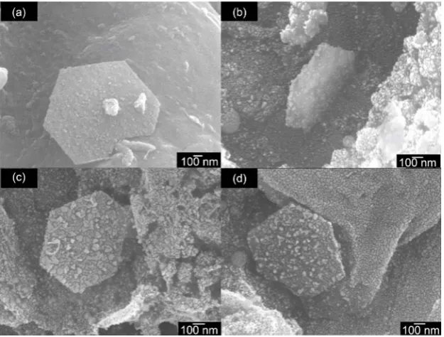 Figure 1. (a) Bulk B. braunii residues carbonized at 700˚C under argon flow observed under SEM