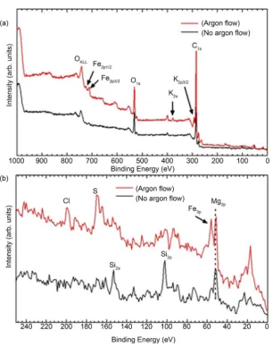 Figure 4. X-ray photoelectron spectra of B. braunii residue carbonized at 700˚C in different carbonization conditions